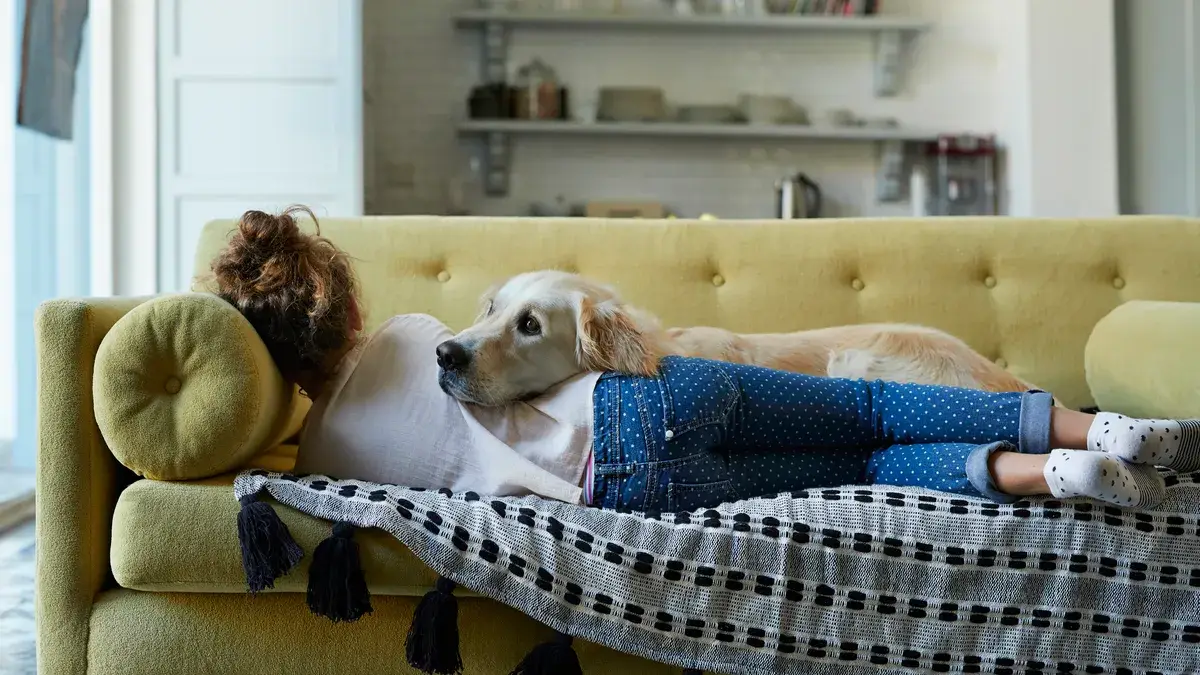woman on couch asleep - Alaska Sleep Clinic - Alaska Sleep Clinic
